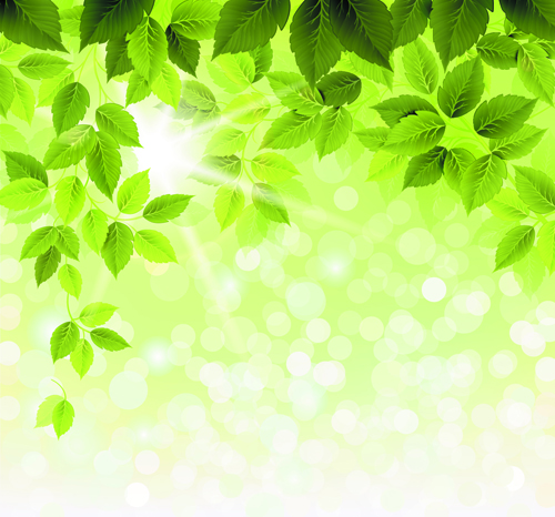 Detail Green Leaves Background Nomer 58