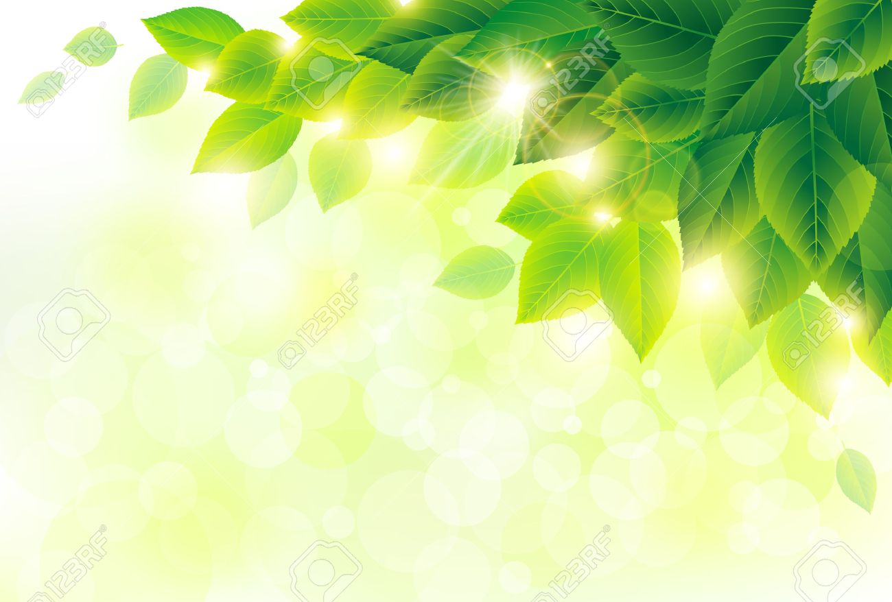 Green Leaves Background Images - KibrisPDR