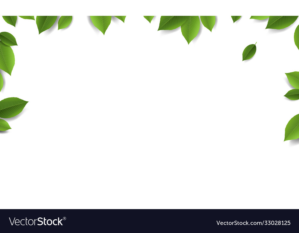 Detail Green Leaves Background Images Nomer 13