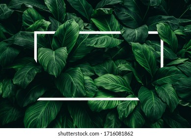 Detail Green Leaves Background Images Nomer 42