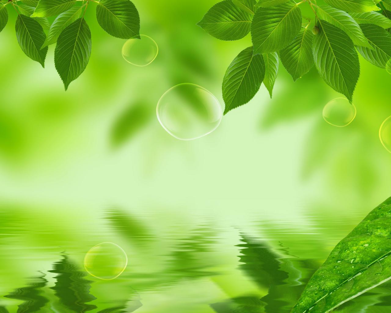 Detail Green Leaves Background Images Nomer 47