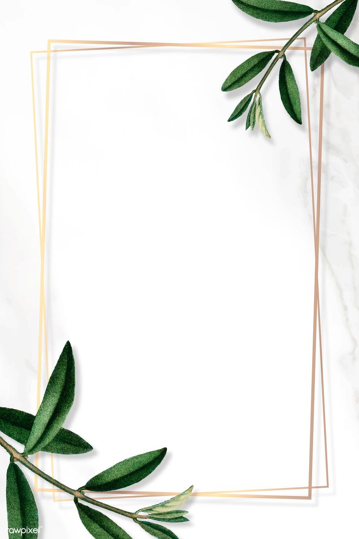 Detail Green Leaves Background Wallpaper Nomer 46