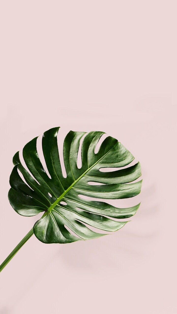 Detail Green Leaves Tumblr Nomer 14