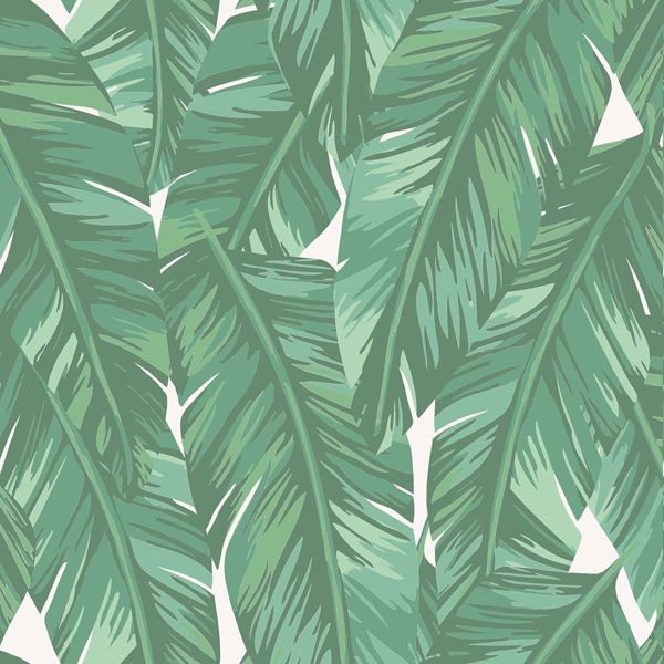 Detail Green Leaves Wallpaper Nomer 13