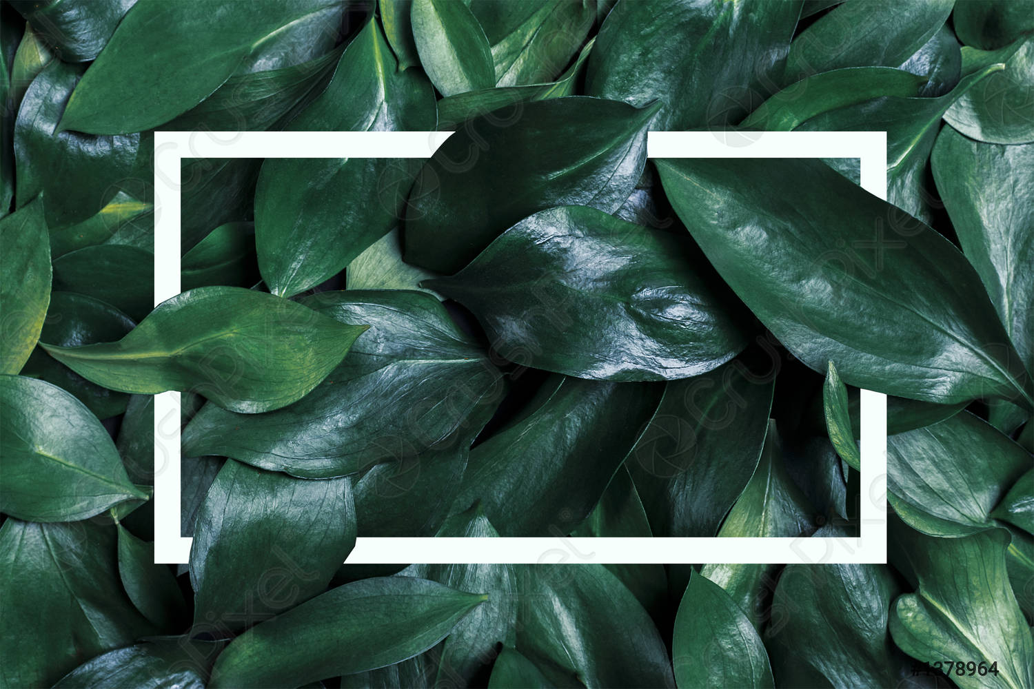 Detail Green Leaves Wallpaper Nomer 27