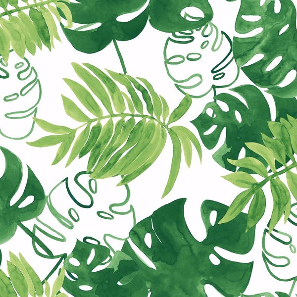 Detail Green Leaves Wallpaper Nomer 29