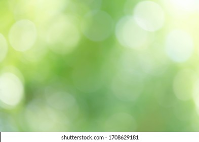 Detail Green Light Background Nomer 17