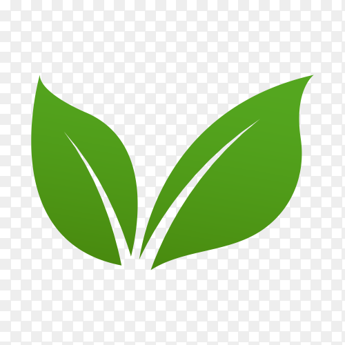 Detail Green Logo Png Nomer 25