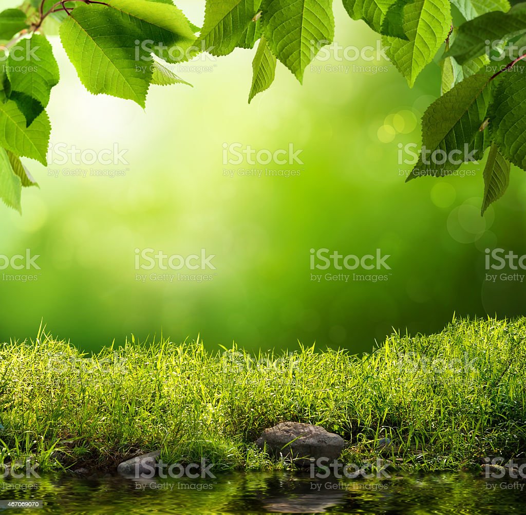 Detail Green Natural Background Nomer 47