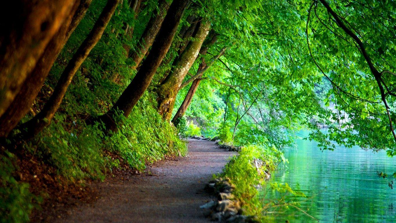 Detail Green Nature Wallpaper Hd Nomer 15