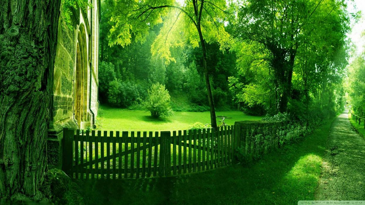 Detail Green Nature Wallpaper Hd Nomer 17