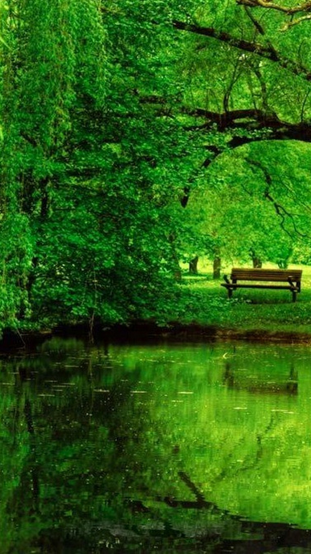 Detail Green Nature Wallpaper Hd Nomer 37