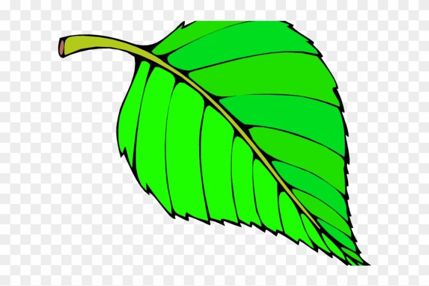 Detail Green Objects Clipart Nomer 28