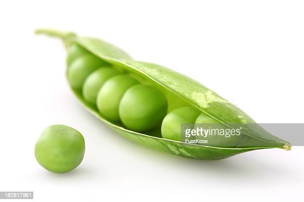 Detail Green Pea Images Nomer 16