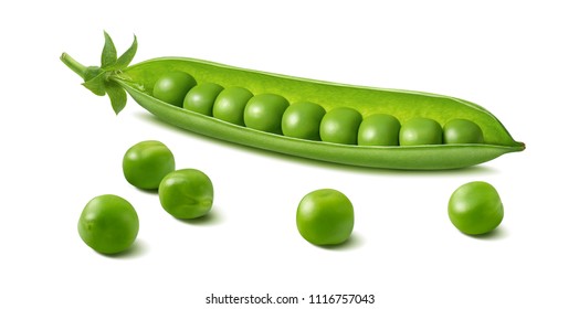 Detail Green Pea Images Nomer 22