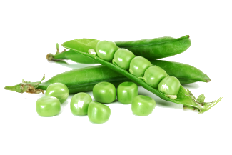 Detail Green Pea Images Nomer 28