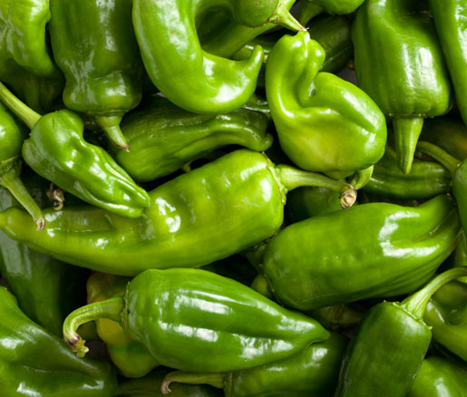 Detail Green Pepper Images Nomer 51