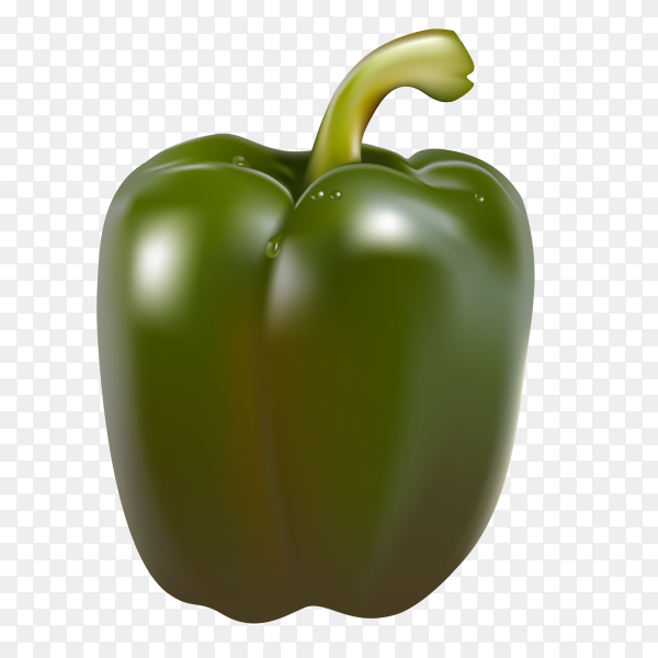 Detail Green Pepper Png Nomer 18