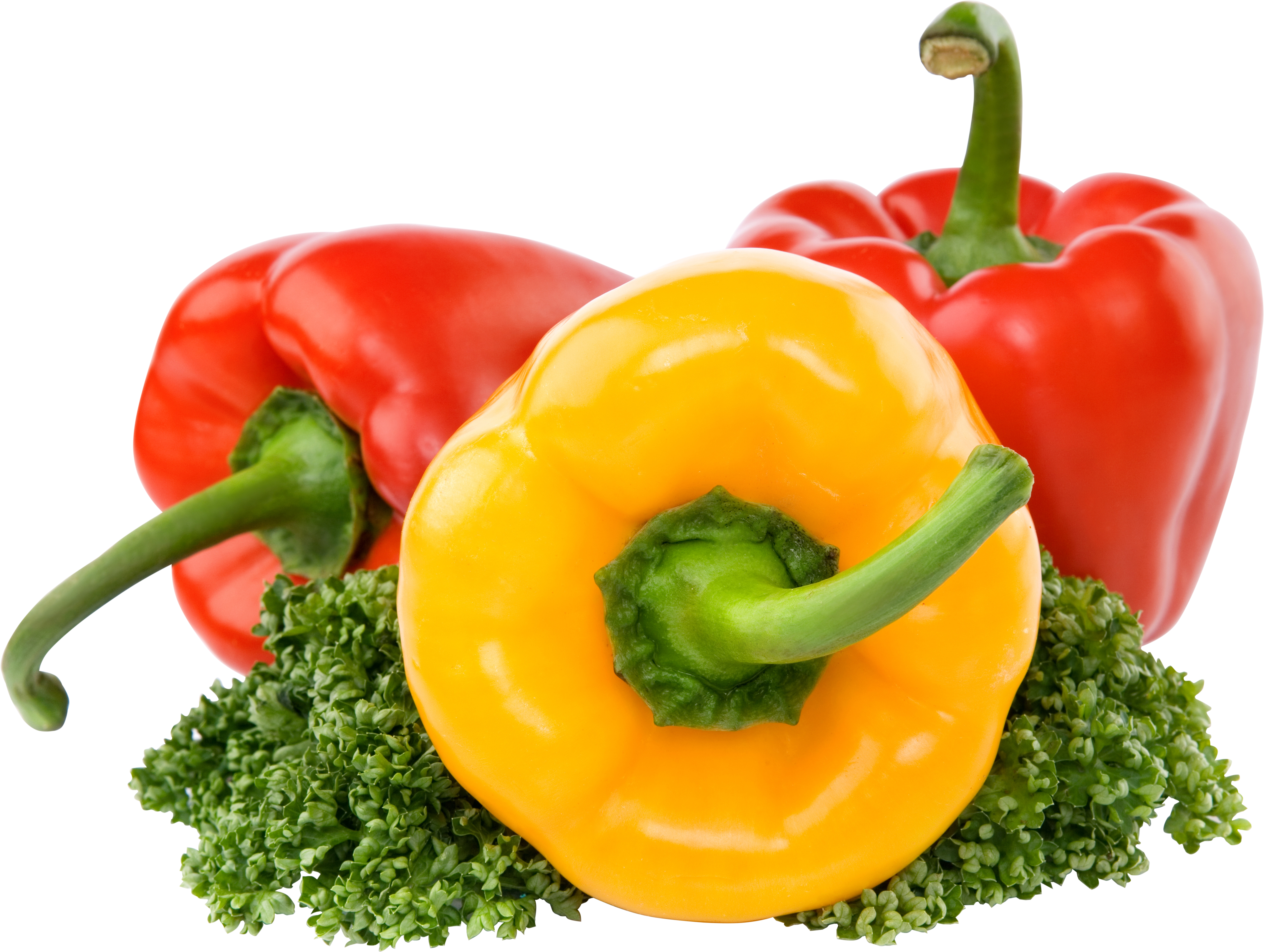 Detail Green Pepper Png Nomer 25