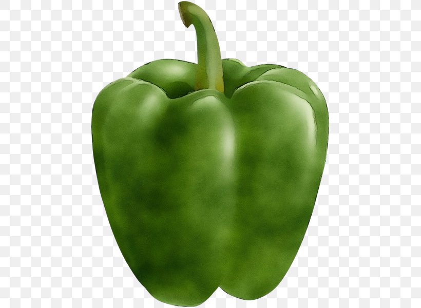 Detail Green Pepper Png Nomer 55