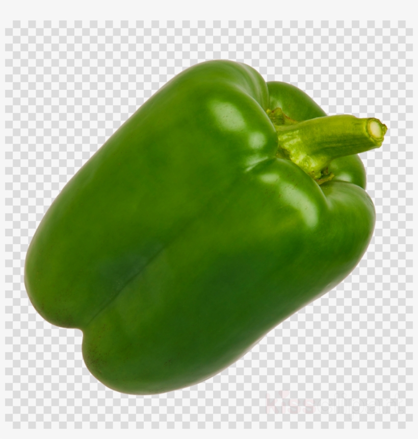 Detail Green Pepper Png Nomer 7