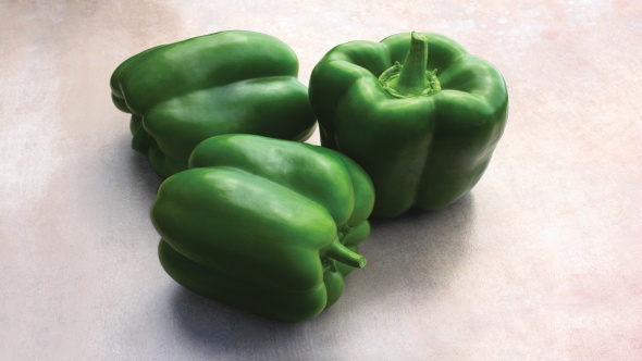 Detail Green Pepper Varieties Pictures Nomer 15