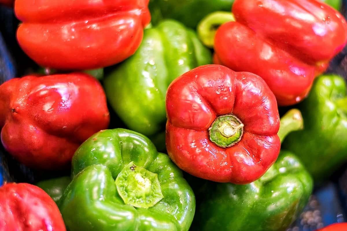 Detail Green Pepper Varieties Pictures Nomer 48