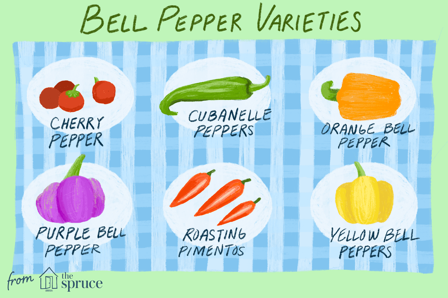 Detail Green Pepper Varieties Pictures Nomer 8