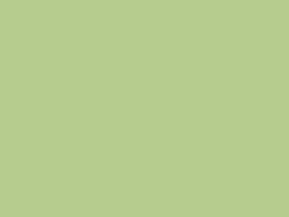 Detail Green Plain Background Nomer 13