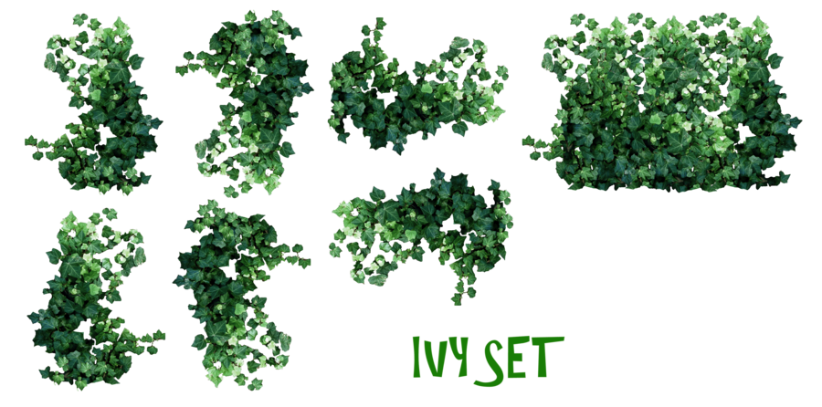 Detail Green Plants Png Nomer 39