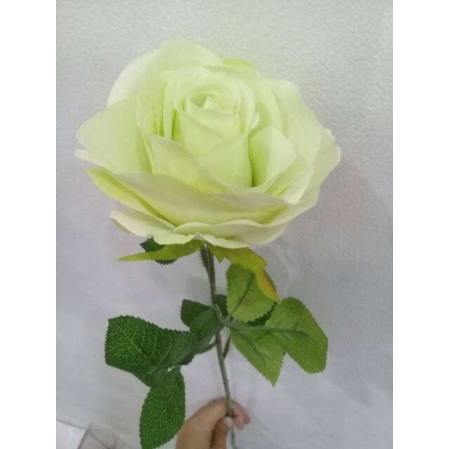 Detail Green Rose Mawar Hijau Nomer 41