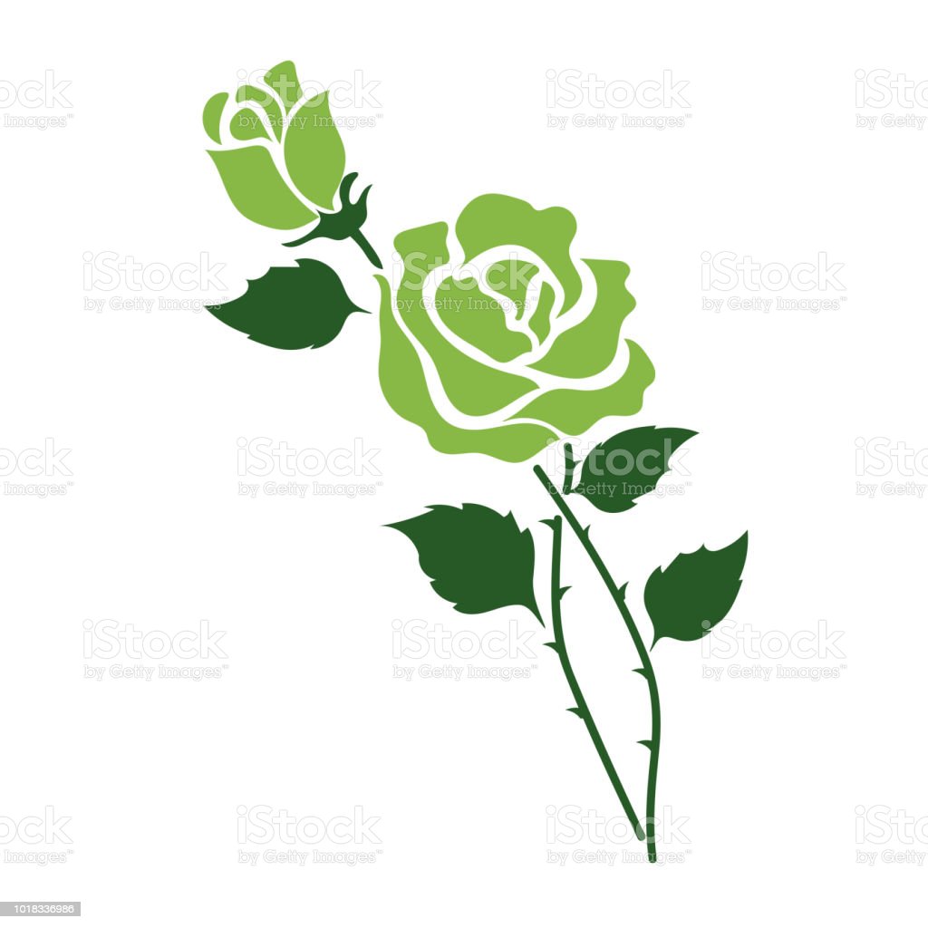 Detail Green Rose Mawar Hijau Nomer 52