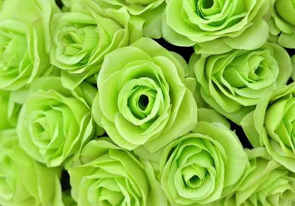 Detail Green Rose Mawar Hijau Nomer 56