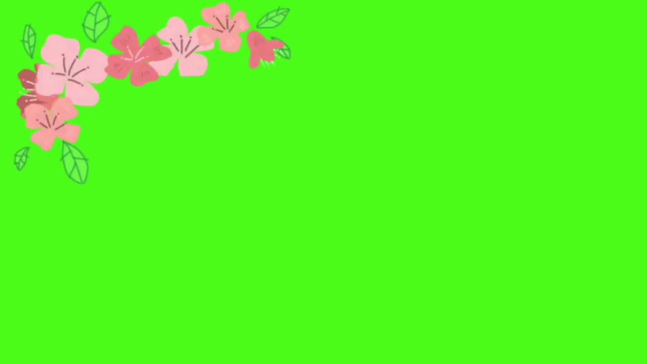 Detail Green Screen Bunga Nomer 16