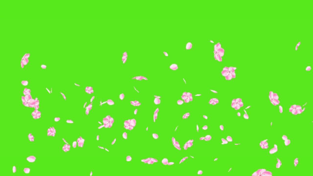 Detail Green Screen Bunga Nomer 17