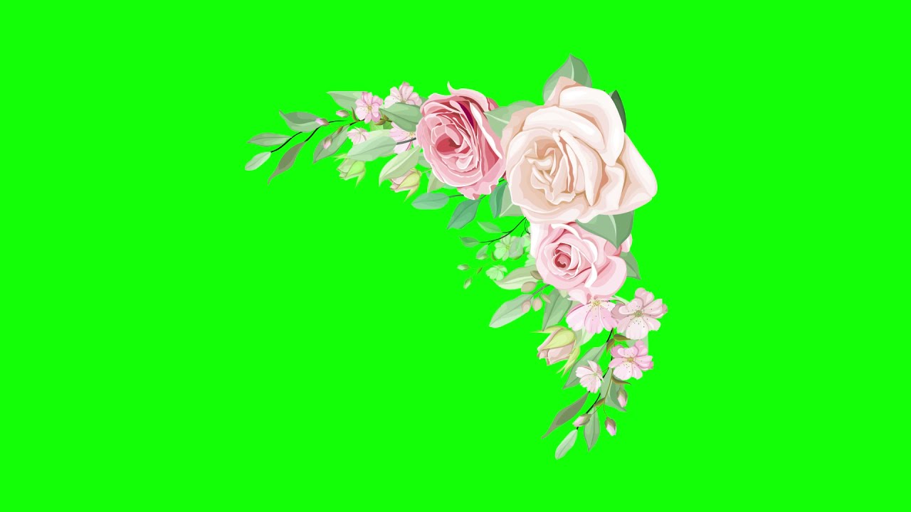 Detail Green Screen Bunga Nomer 24