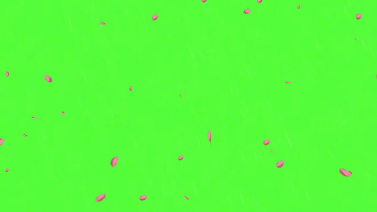 Detail Green Screen Bunga Nomer 28