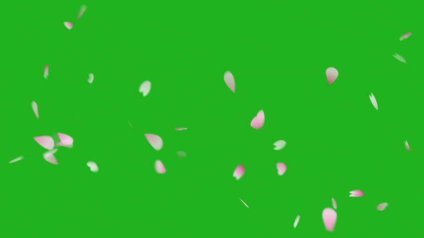 Detail Green Screen Bunga Nomer 52