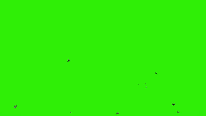 Detail Green Screen Hijau Nomer 16