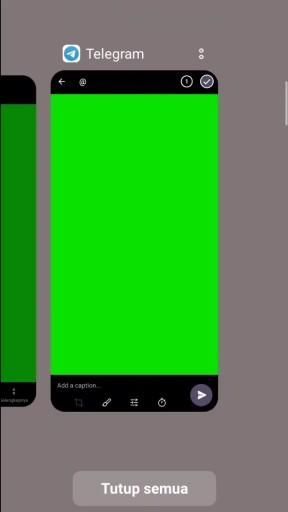 Detail Green Screen Latar Hijau Nomer 32