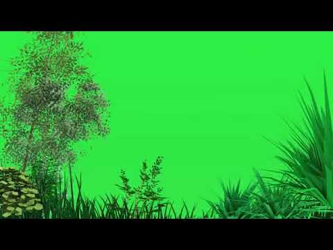 Green Screen Pemandangan - KibrisPDR