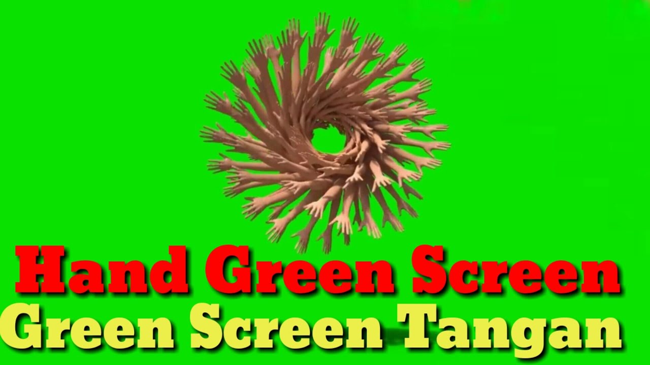 Detail Green Screen Tangan Nomer 41