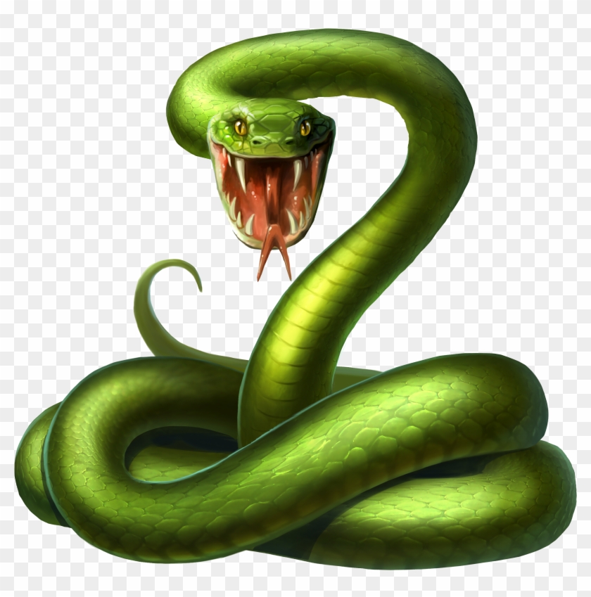 Detail Green Snake Png Nomer 2