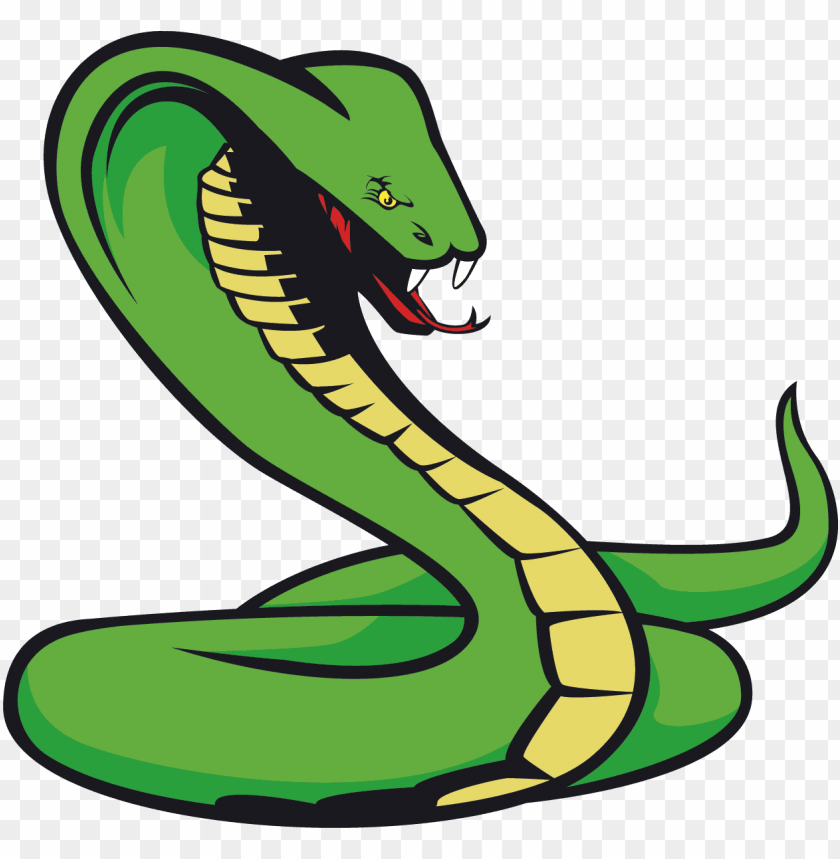 Detail Green Snake Png Nomer 20