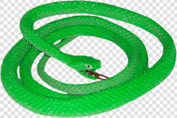 Detail Green Snake Png Nomer 43