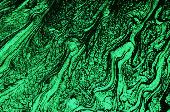 Detail Green Swirl Background Nomer 50