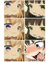 Detail Green Tea Coffee Meme Nomer 10