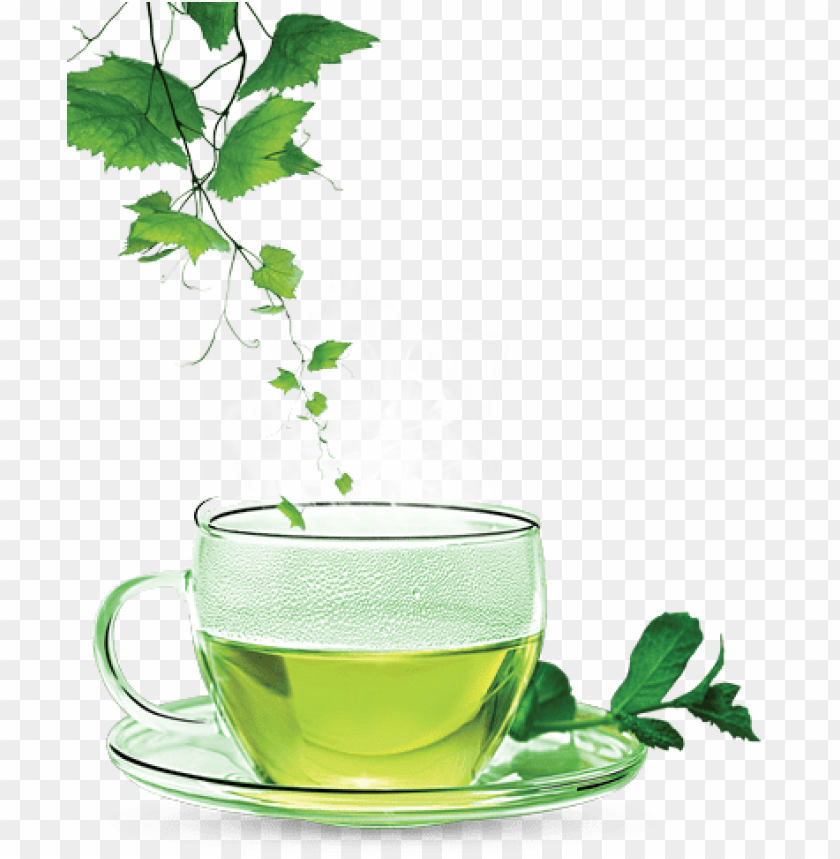 Detail Green Tea Png Nomer 2