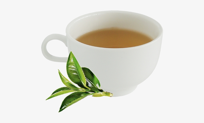 Detail Green Tea Png Nomer 11