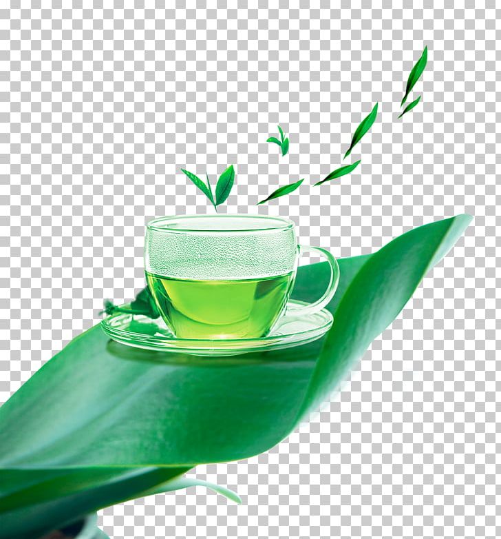 Detail Green Tea Png Nomer 35